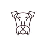 specialization-dog
